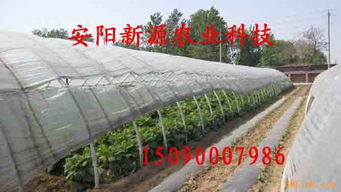 智慧农业的脊梁 温室大棚骨架机的创新与发展