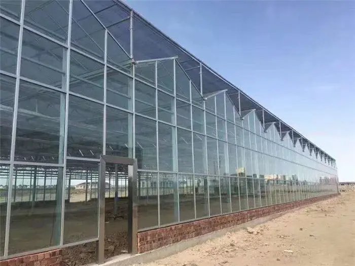 玻璃温室大棚的设计要点与发展趋势