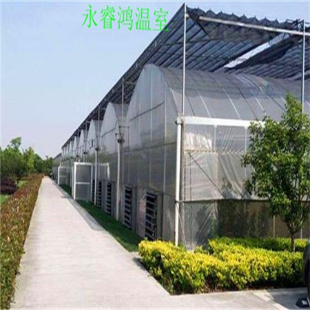 海南温室连栋大棚规格齐全，现代农业之选