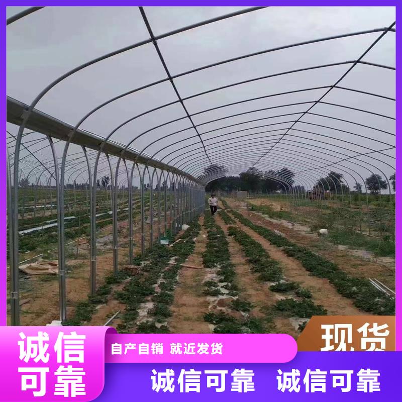 高原蔬菜大棚安装与智能工厂发展 拉萨温室大棚赋能林周、尼木、林芝、昌都农业升级